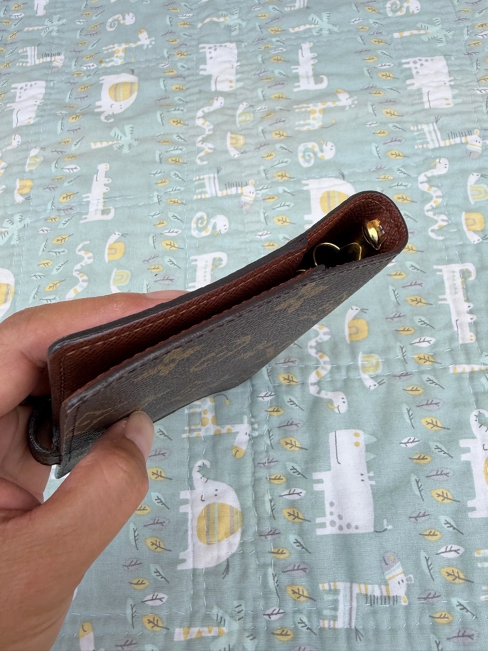 Louis Vuitton Agenda Pm (PRICE FIRM) - Picture 8 of 9
